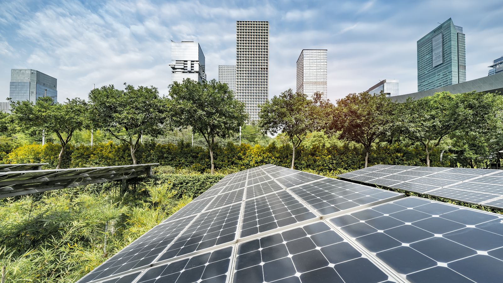 Solaranlagen stehen auf einer begrünten Fläche. Im Hintergrund befinden sich Hochhäuser.