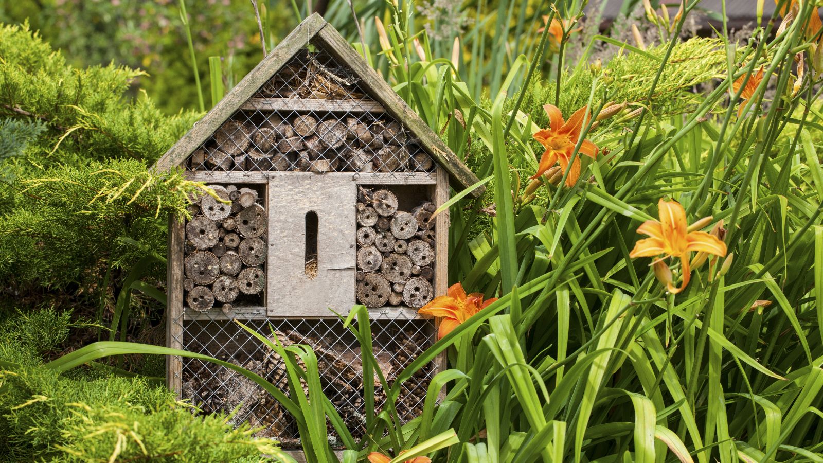  Ein hölzernes Insektenhotel steht in einer Blumenwiese mit Lilien.