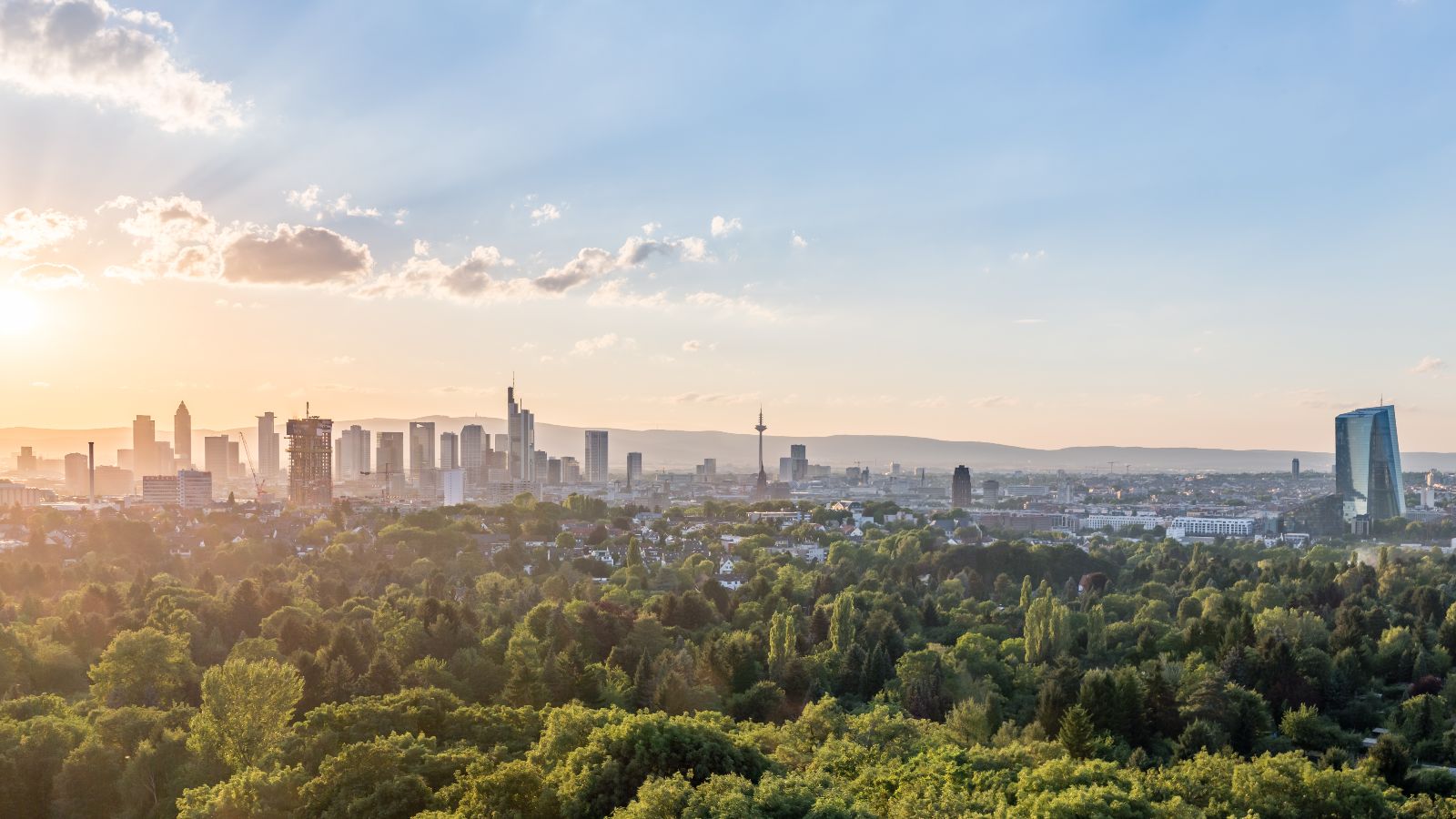 Die Skyline von Frankfurt im Sonnenlicht.