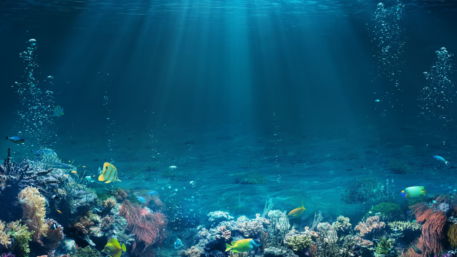 Sonnenstrahlen durchdringen das hellblaue Wasser über einem Korallenriff, durch das exotische Fische schwimmen.