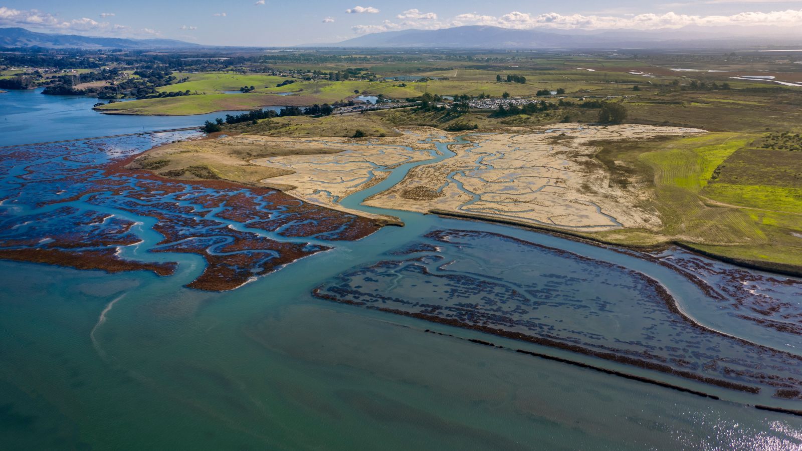 Vor einer mit grünen Wiesen und kleineren Ortschaften bedeckten leicht hügeligen Küste liegt ein Gezeitensumpf, in dem mäandernde Ausläufer eines ins Meer mündenden Flusses sichtbar sind.