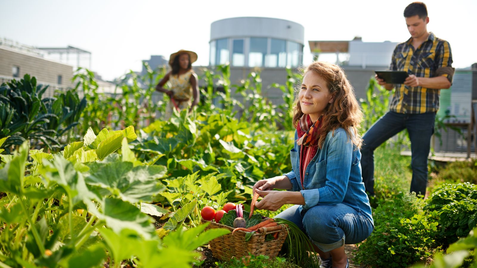 Eine Frau mit langen roteh Haaren hockt vor einem Gemüsebeet und hält einen Korb mit verschiedenen Gemüsetypen. Im Hintergrund steht ein Mann mit einem Tablet und eine Frau mit einem Sonnenhut.