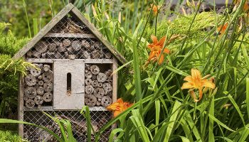 Ein hölzernes Insektenhotel steht in einer Blumenwiese mit Lilien.