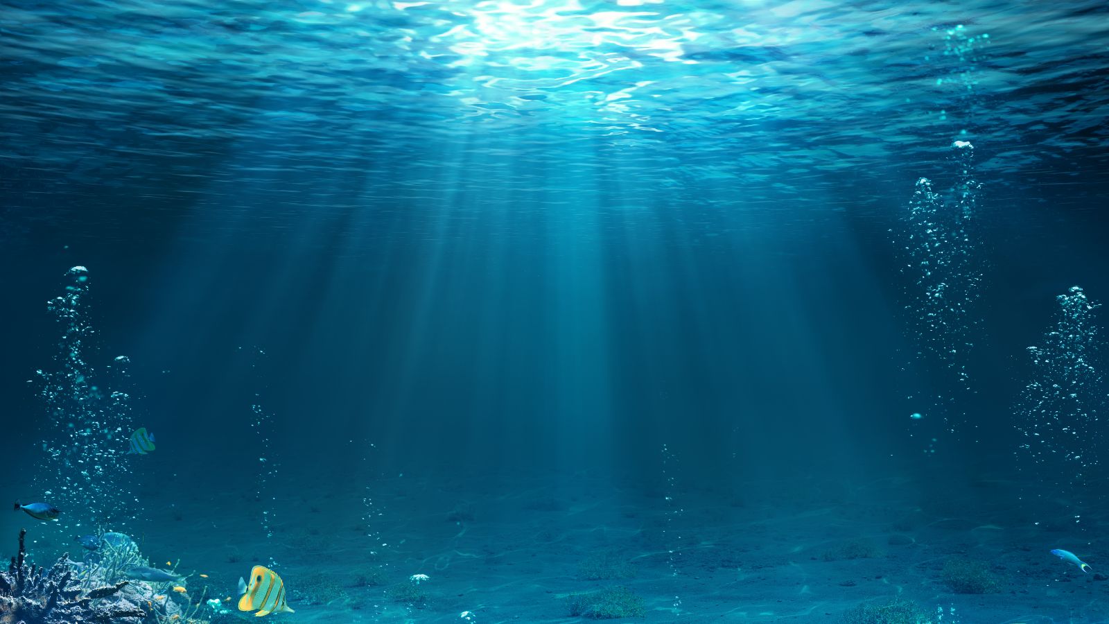 Sonnenstrahlen durchdringen das hellblaue Wasser über einem Korallenriff, durch das exotische Fische schwimmen.