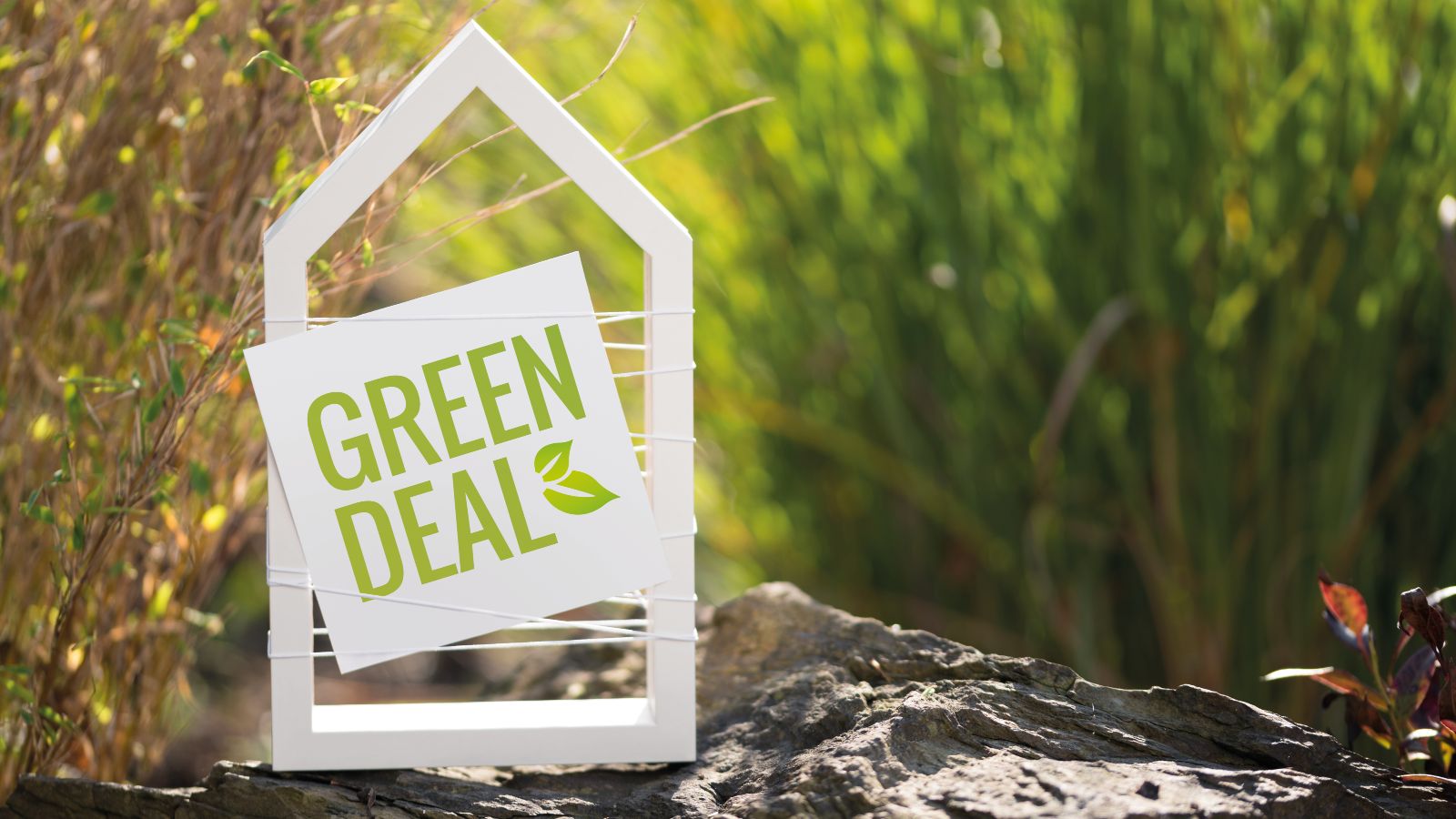 Ein weißer Holzrahmen steht auf einem großen Stein inmitten von Sträuchern. Der Holzrahmen hat die Form eines Hauses. Im Zwischenraum der  Hauswände ist eine Karte mit der grünen Aufschrift 