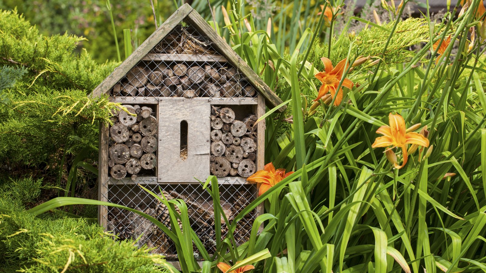 Ein hölzernes Insektenhotel steht in einer Blumenwiese mit Lilien.