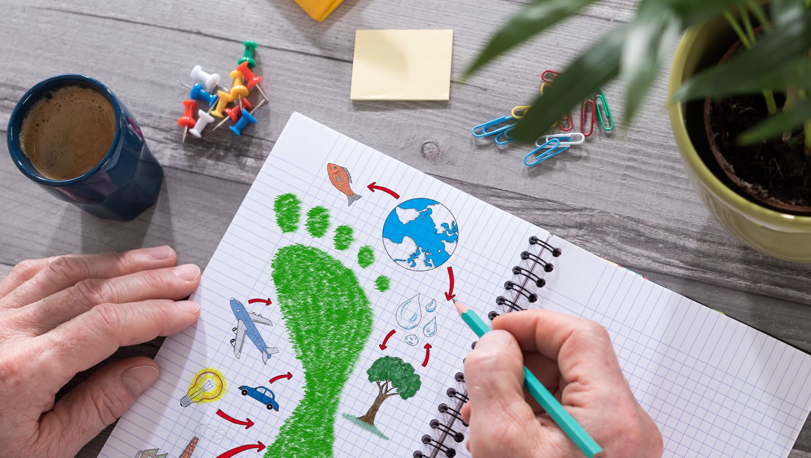 Eine Person hält ein aufgeschlagenes Notizbuch und einen Stift auf einem Schreibtisch mit diversen Schreibutensilien. Auf der Seite des Notizbuchs sind Zeichnungen passend zum Thema Bioökonomie und Umwelt, z.B. ein grüner Fußabdruck. 