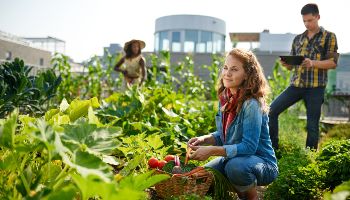 Eine Frau mit langen roteh Haaren hockt vor einem Gemüsebeet und hält einen Korb mit verschiedenen Gemüsetypen. Im Hintergrund steht ein Mann mit einem Tablet und eine Frau mit einem Sonnenhut. 