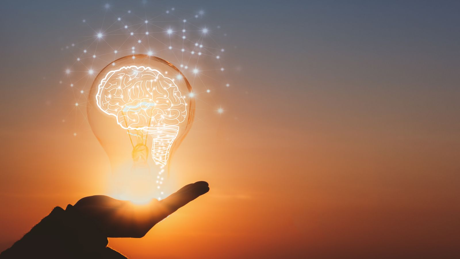 Eine Hand hält eine Glübirne mit einem gezeichneten, leuchtend-weißen Hirn darin. Im Hintergrund ist ein Sonnenuntergangshimmel zu sehen.