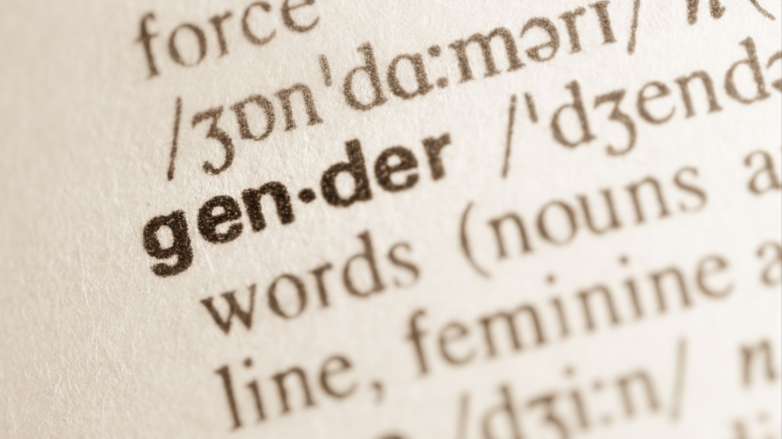 Definition des Wortes Gender im Wörterbuch