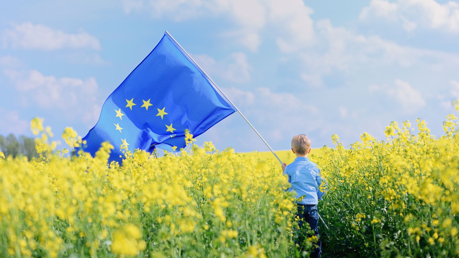 Kleiner Junge steht in einem Rapsfeld und hält eine wehende EU-Fahne in die Höhe. 