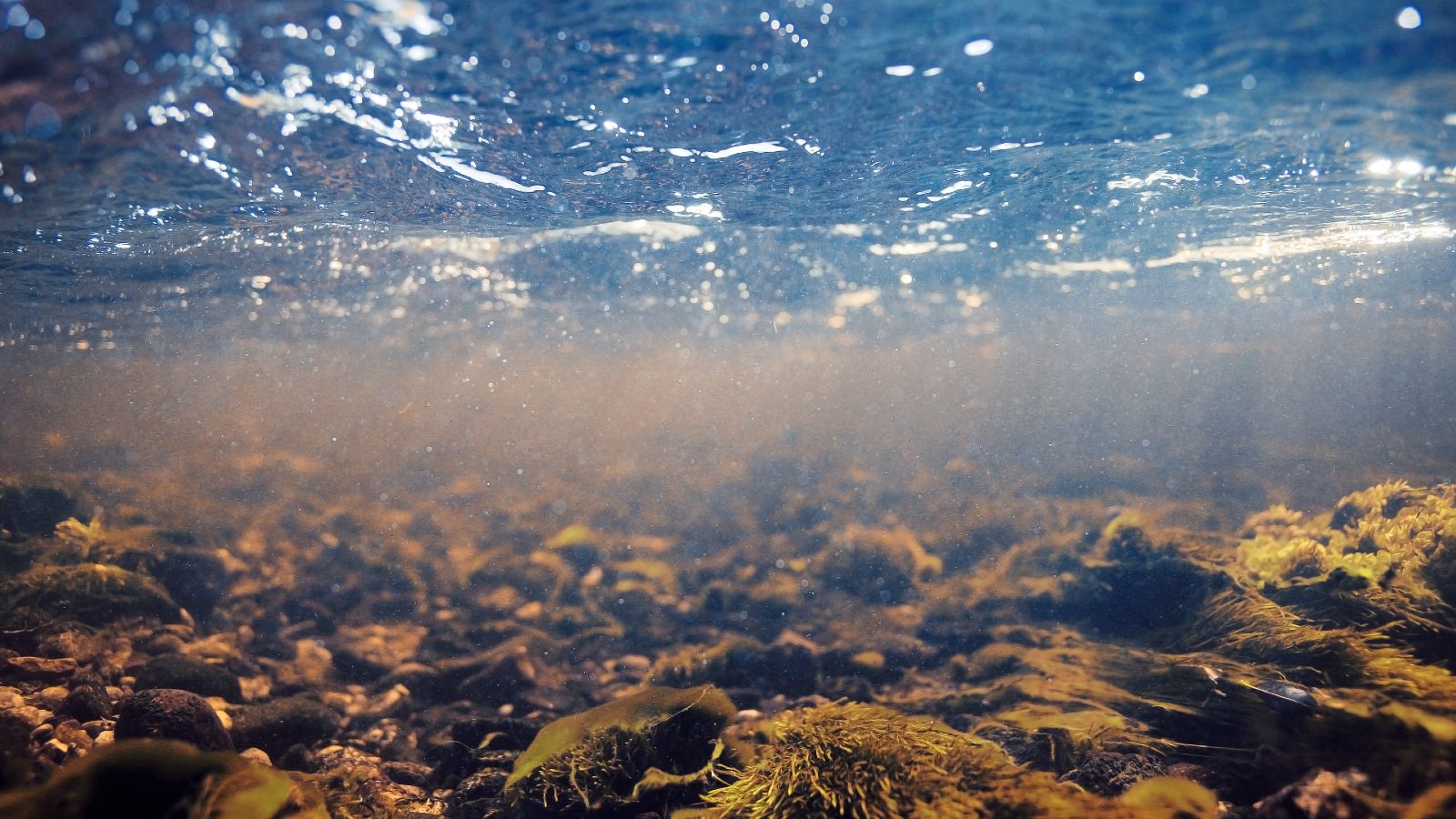 Unterwasser, Sonnestrahlen scheinen durch bewegtes Wasser auf den Boden herab.