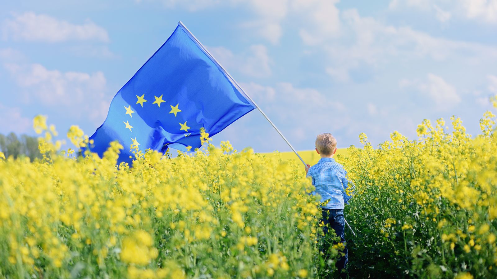 Kleiner Junge steht in einem Rapsfeld und hält eine wehende EU-Fahne in die Höhe. 