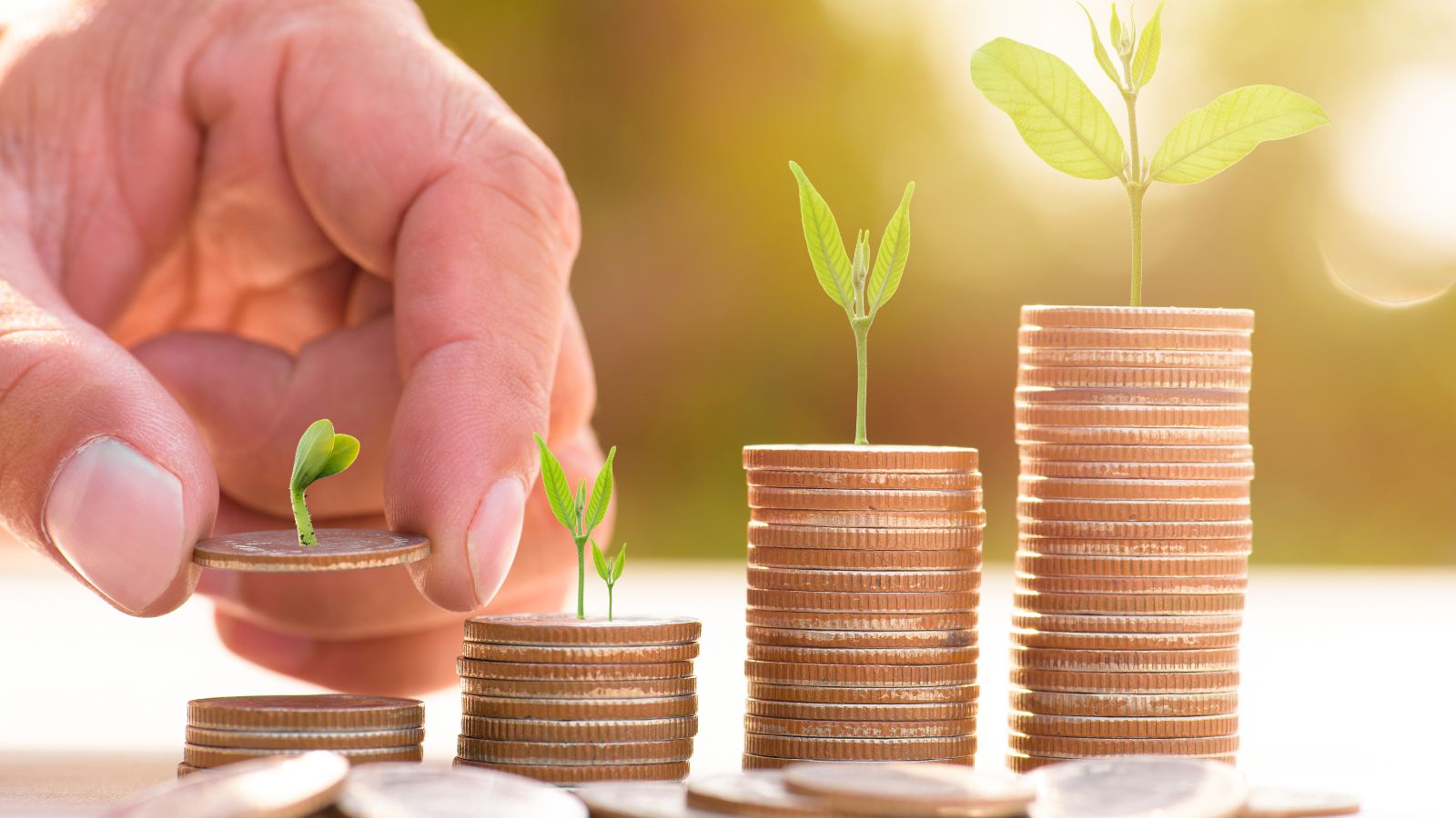 Vier Stapel Münzen in aufsteigender Größe mit Pflanzen darauf werden von einer Hand aufgebaut.