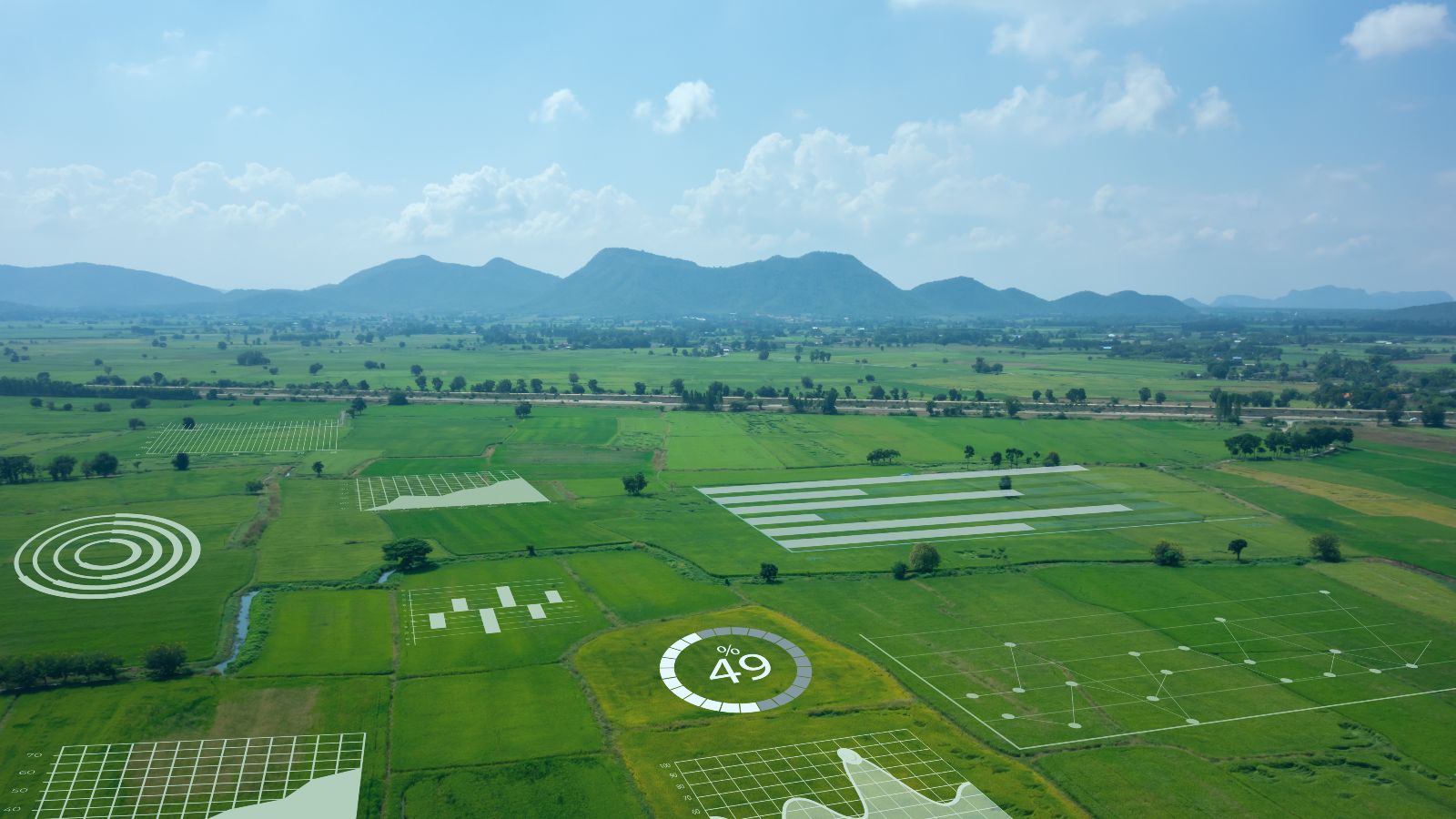 Grüne Frischwiesen erstrecken sich in einer weiten Landschaft, welche sich bis zu einem Gebirgskamm am Horizont erstreckt. Die Wiesen werden von einem Fluss und mehreren Bewässerungsgräben durchzogen. Auf einzelnen Flächen wurden digital unterschiedliche Grafiken visualisiert.