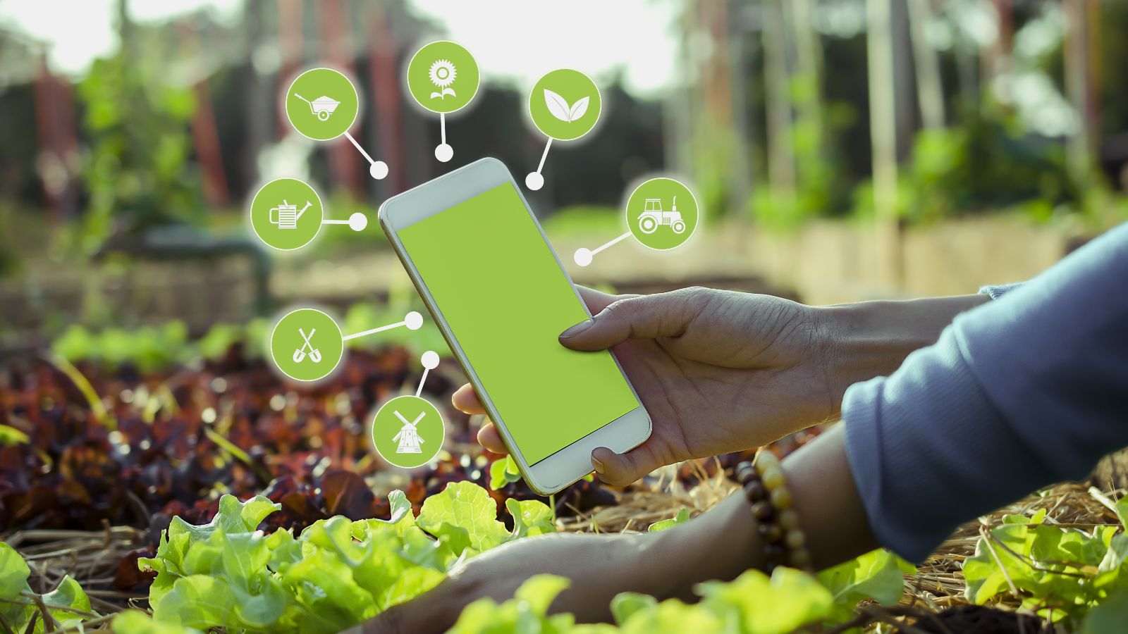 Eine Frau hebt mit einer Hand die Blätter einer wachsenden Salatpflanze hoch. In der anderen Hand hält sie ihr Smartphone, welches von Piktpogrammen zur Gartenarbeit umringt ist. Im Hintergrund zeichnet sich ein gepflegter Garten ab.