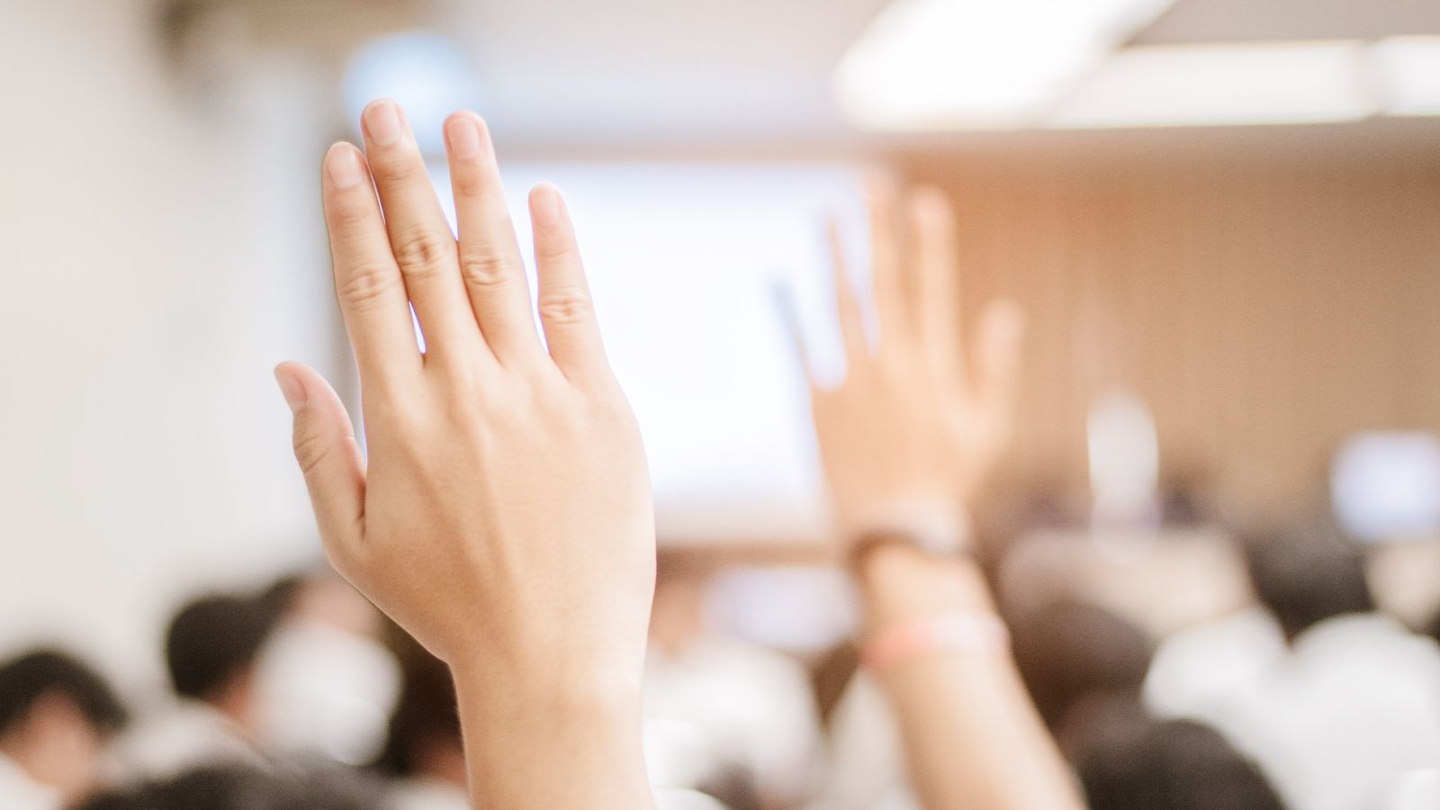 Fragestunde - erhobene Hand im vollen Sitzungssaal