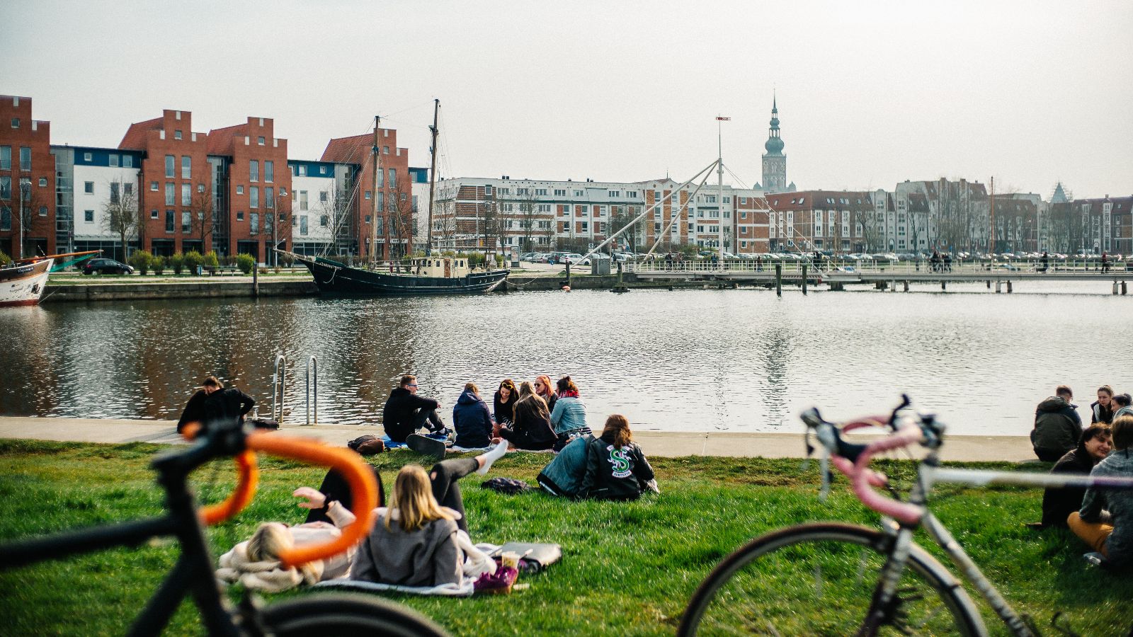 Mehrere Personengruppen sitzen auf einer Wiese am Greifswalder Hafen. Im Vordergrund stehen zwei Fahrräder.