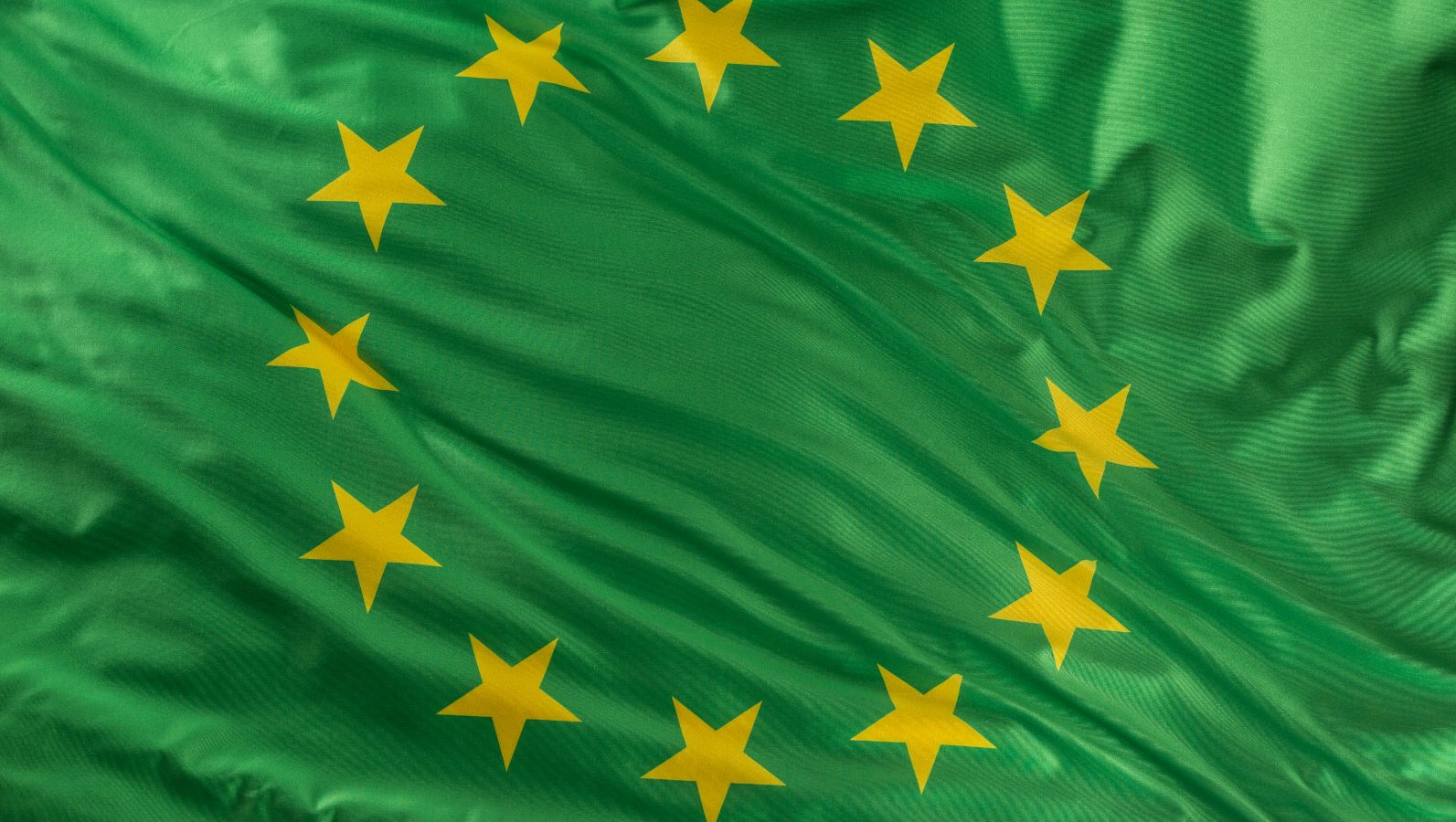 Eine grüne Flagge der Europäischen Union weht im Wind.