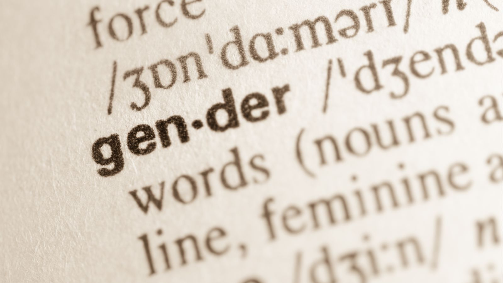 Definition des Wortes Gender im Wörterbuch