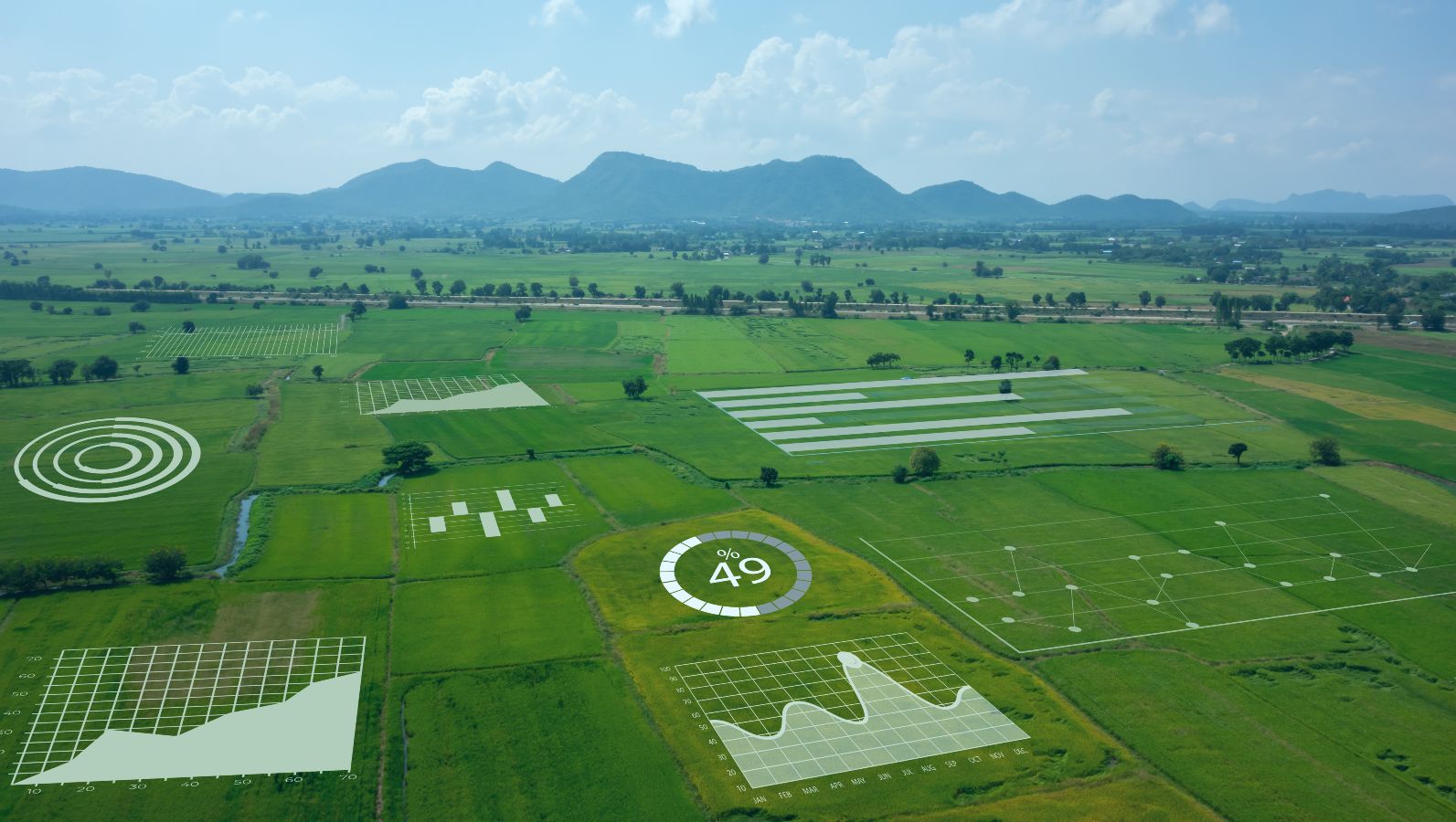 Grüne Frischwiesen erstrecken sich in einer weiten Landschaft, welche sich bis zu einem Gebirgskamm am Horizont erstreckt. Die Wiesen werden von einem Fluss und mehreren Bewässerungsgräben durchzogen. Auf einzelnen Flächen wurden digital unterschiedliche Grafiken visualisiert.