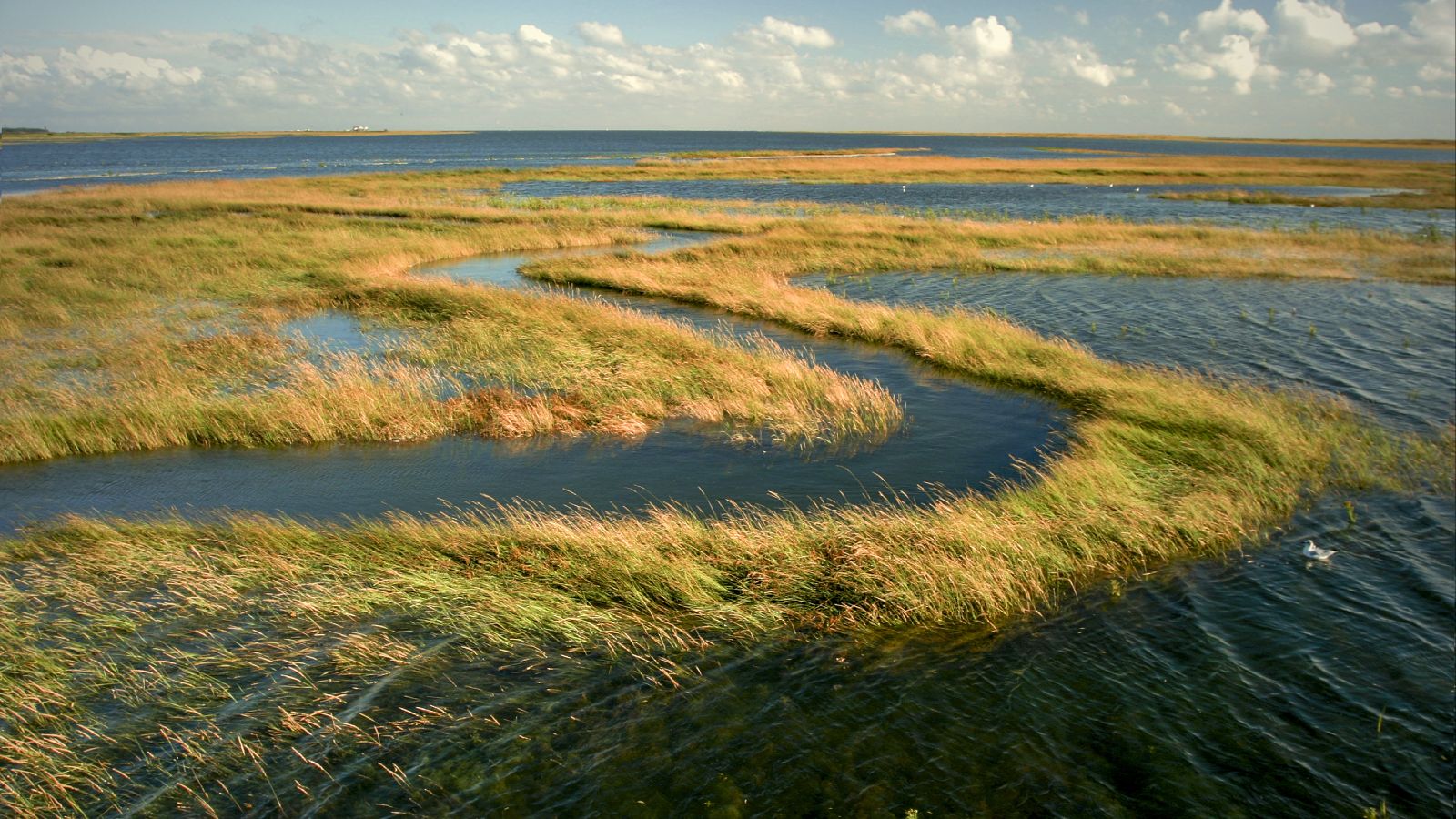 Flussdelta mit überschwemmten Grasflächen, im Hintergrund bewölkter Himmel.