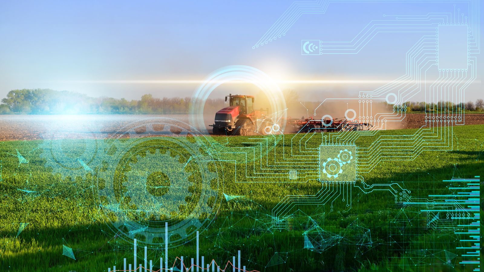 Auf einem großen grünen Feld fährt ein Traktor mit Anhänger. Das Bild ist von Hologrammen aus der digitalen Welt überlagert.