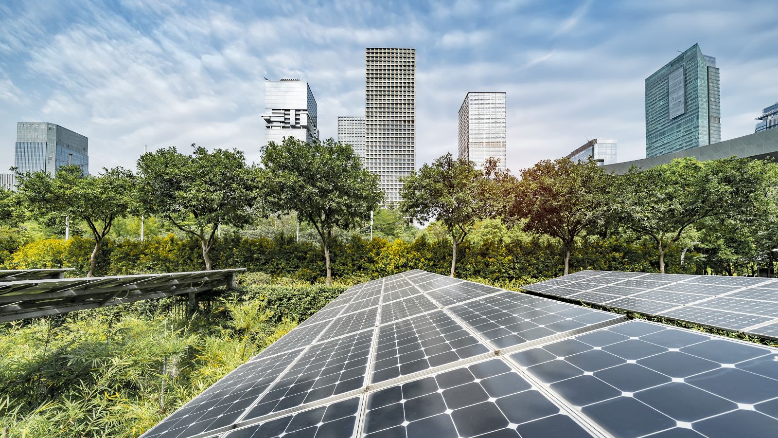 Solaranlagen stehen auf einer begrünten Fläche. Im Hintergrund befinden sich Hochhäuser.