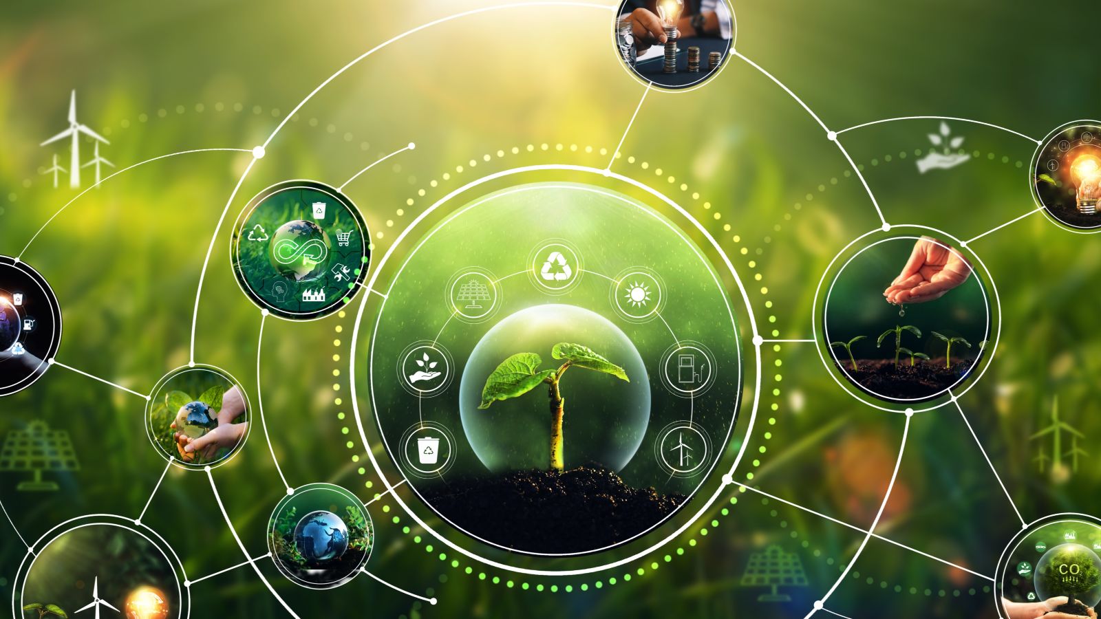 Vor einem grünen Hintergrund ist in einer Blase ein Keimling zu sehen, darum sind satellitenartig verschieden Piktogramme und Symbolbilder für Grüne Innovation angeordnet.