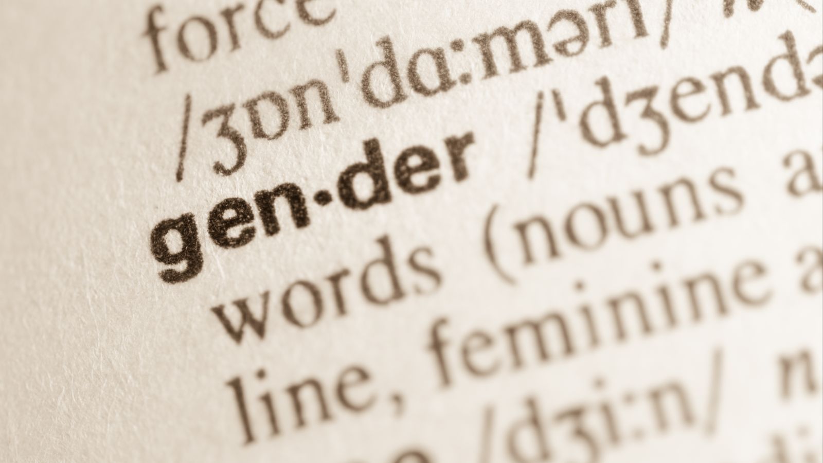 Definition des Wortes Gender im Wörterbuch