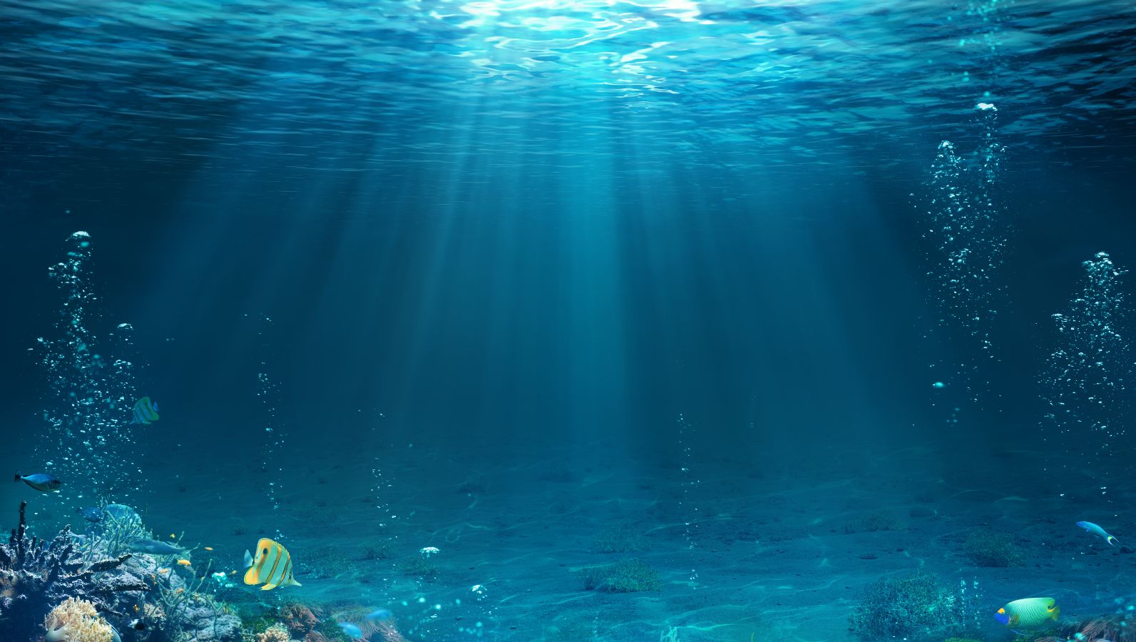 Sonnenstrahlen durchdringen das hellblaue Wasser über einem Korallenriff, durch das exotische Fische schwimmen.