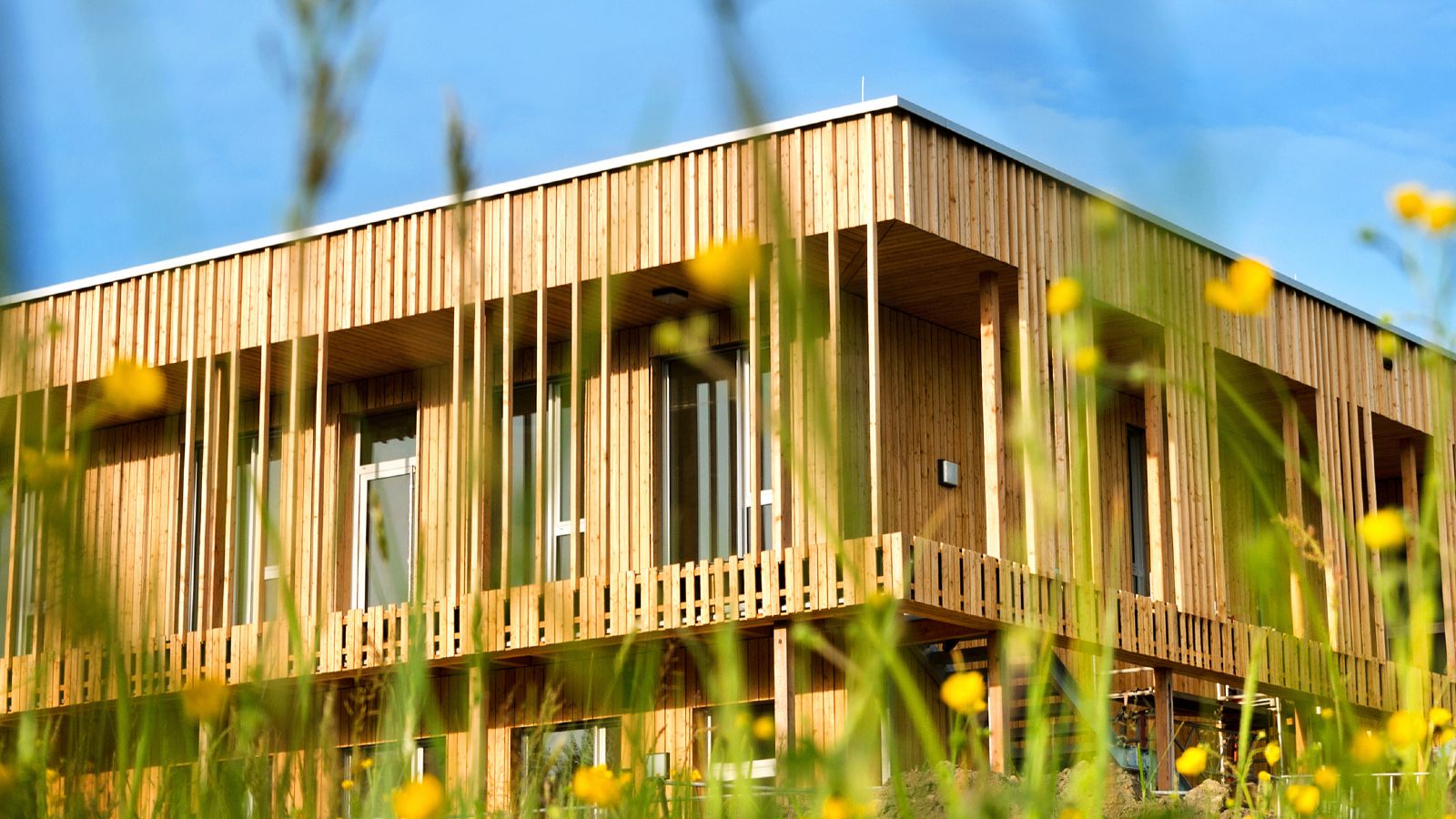 Hinter einer verschwommenen Blumenwiese steht ein Holzhaus.