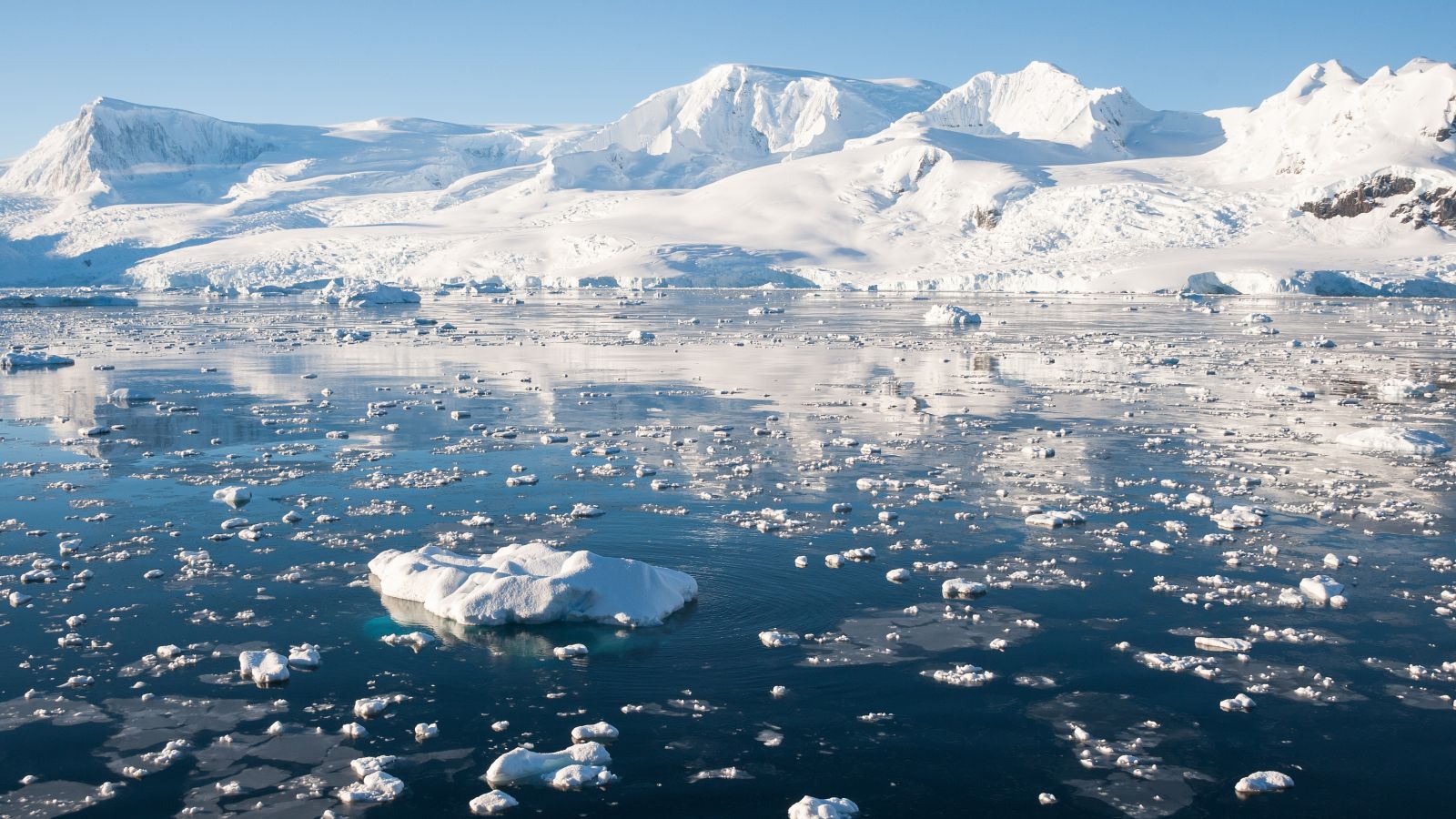 Eisschollen treiben auf einem ruhigen Meer.