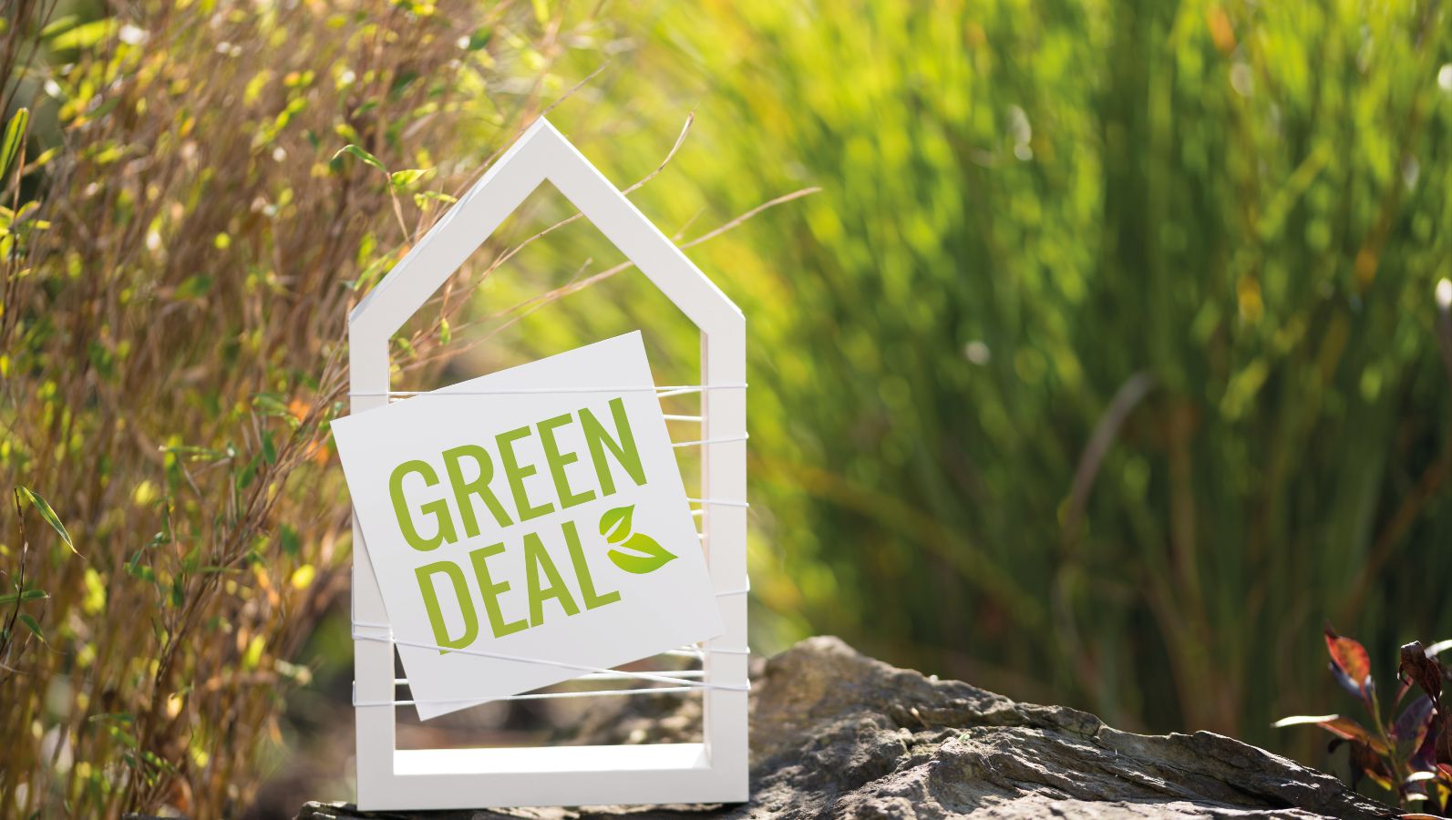 Ein weißer Holzrahmen steht auf einem großen Stein inmitten von Sträuchern. Der Holzrahmen hat die Form eines Hauses. Im Zwischenraum der  Hauswände ist eine Karte mit der grünen Aufschrift 