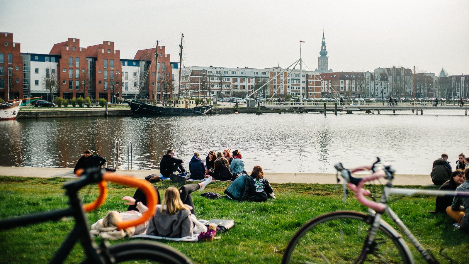 Mehrere Personengruppen sitzen auf einer Wiese am Greifswalder Hafen. Im Vordergrund stehen zwei Fahrräder.