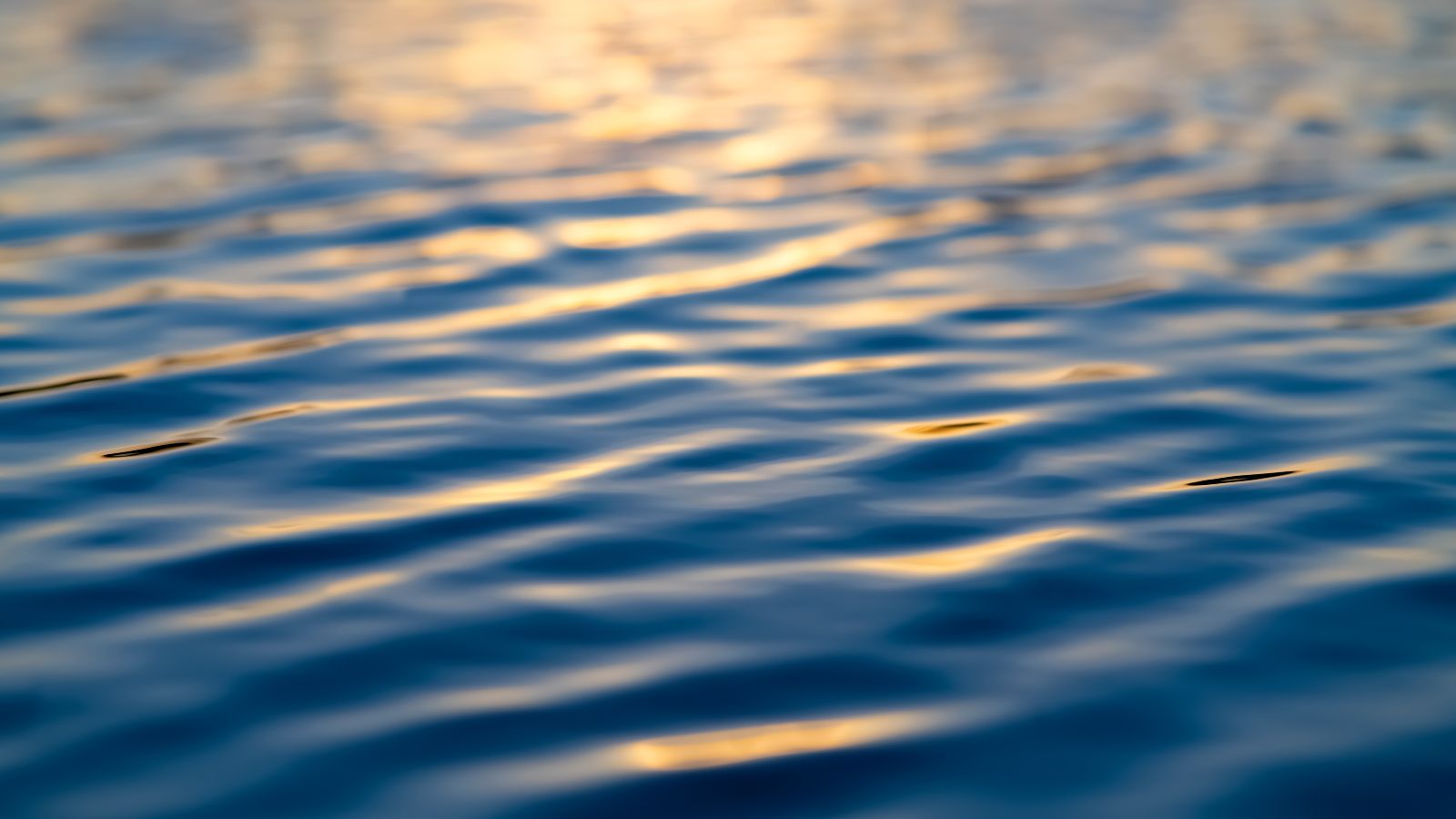 Wasseroberfläche mit sich spiegelndem Licht auf leichten Wellen