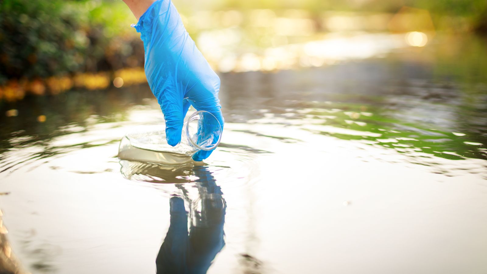 Eine Hand mit Gummihandschuh entnimmt eine Wasserprobe aus einem Gewässer, im Hintergrund ist unscharfes Sonnenlicht