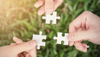 Three hands each hold a puzzle piece above a green meadow.