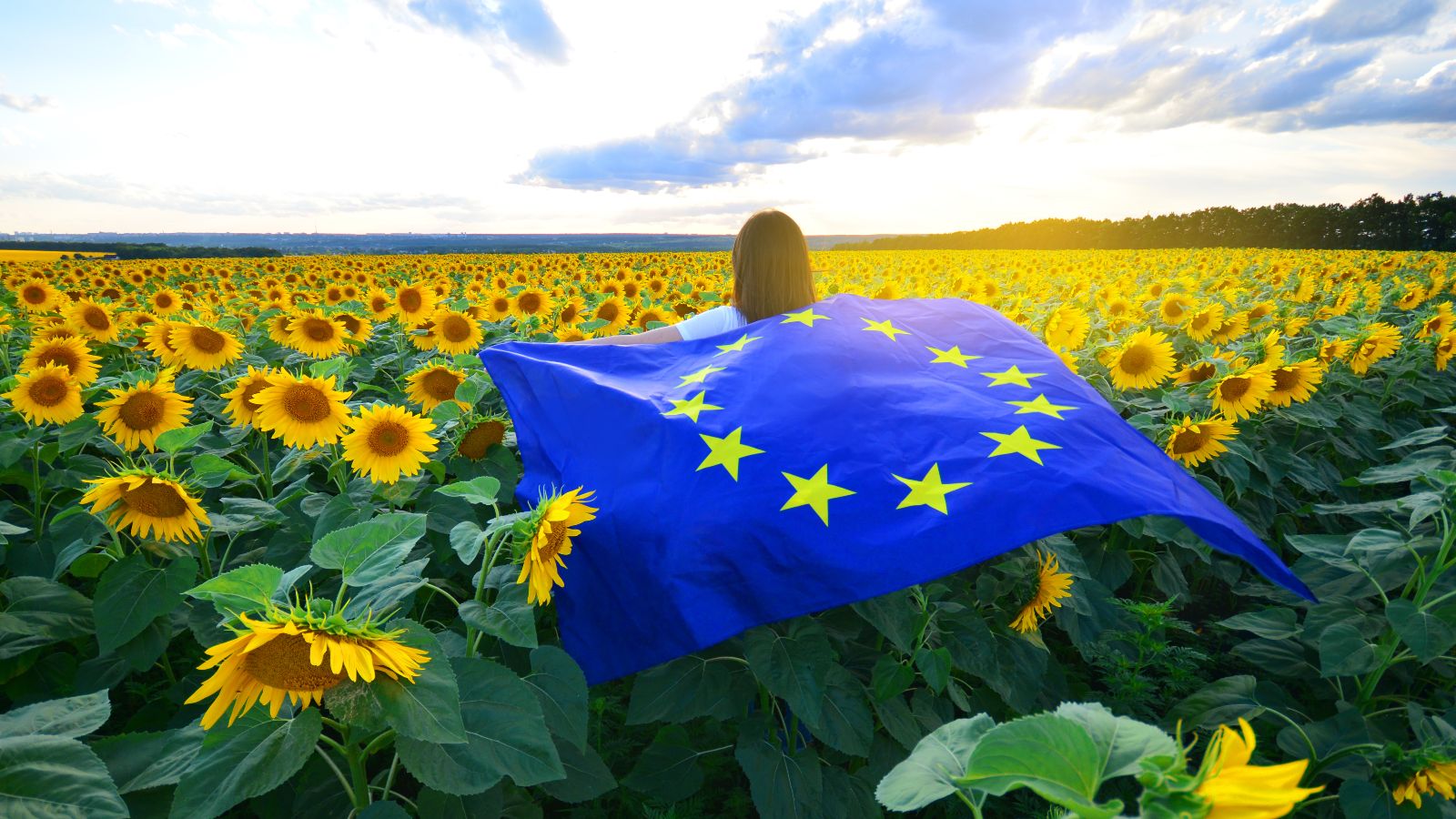 Eine Frau geht durch ein Sonnenblumenfeld. Sie trägt eine Europafahne auf dem Rücken.