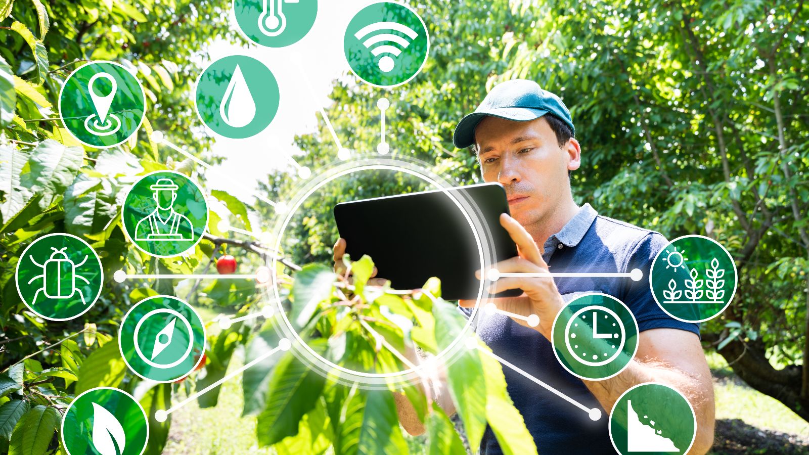 Mann mit Cap steht mit einem Tablet in einer Obstplantage. Um ihn herum schweben Icons in der Luft.