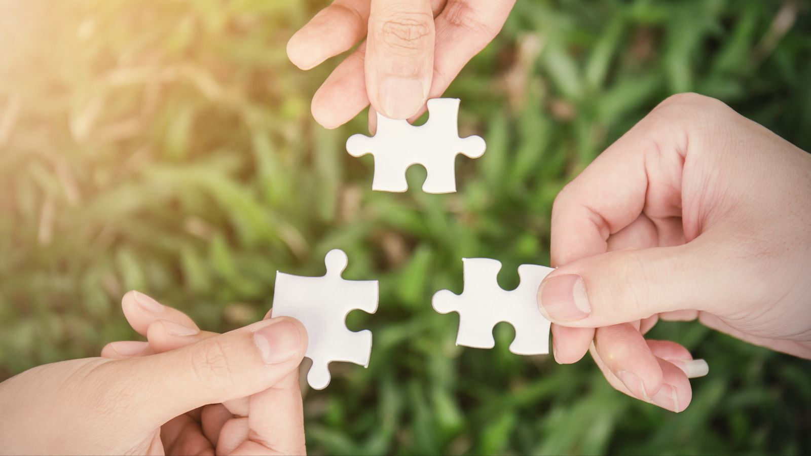 Drei Hände halten je ein weißes Puzzleteil über einer grünen Wiese.