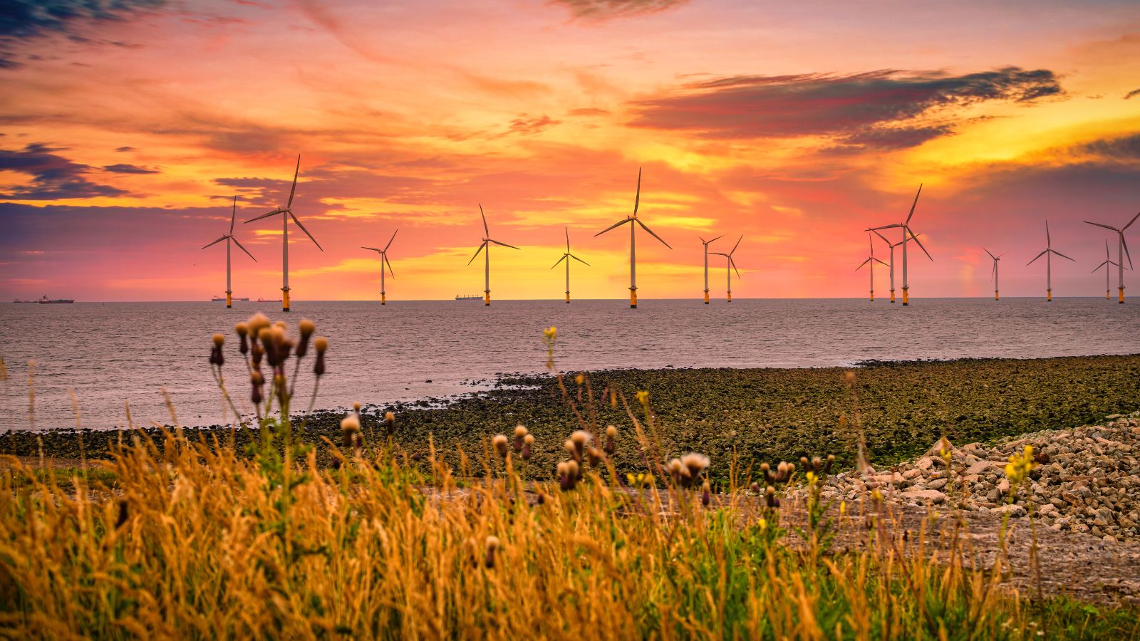 Offshore Windpark bei Sonnenuntergang. Küste im Vordergrund zu sehen.