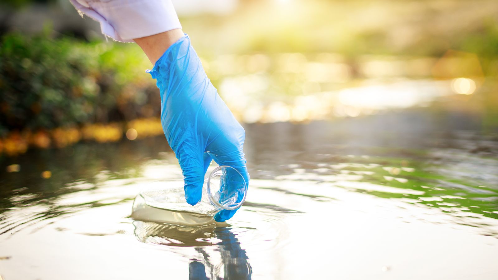 Eine Hand mit blauem Gummihandschuh entnimmt eine Wasserprobe aus einem Gewässer, im Hintergrund ist unscharfes Sonnenlicht