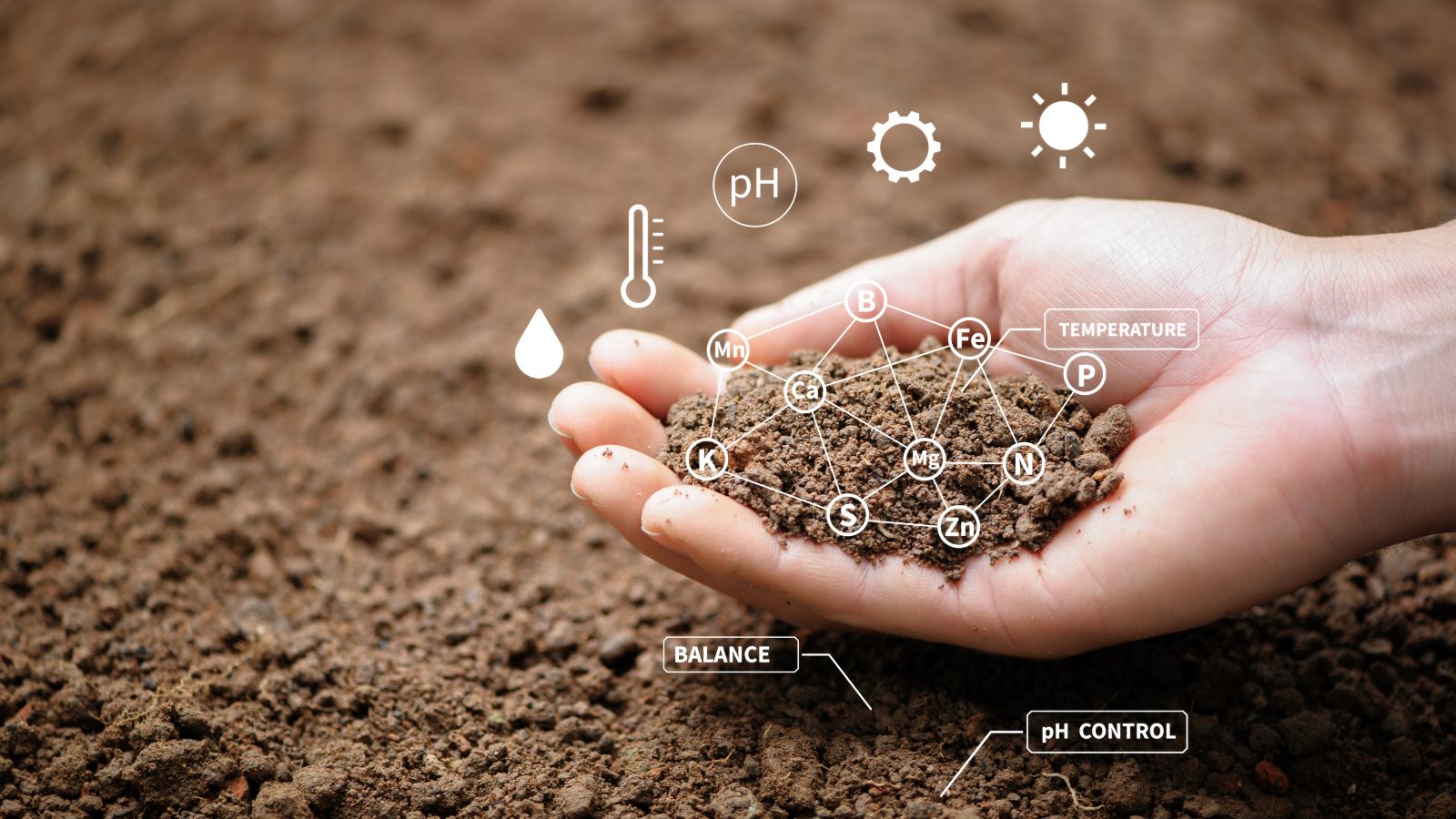 © Deemerwha studio – stock.adobe.com