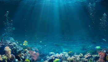 Sonnenstrahlen durchdringen das hellblaue Wasser über einem Korallenriff, durch das exotische Fische schwimmen.