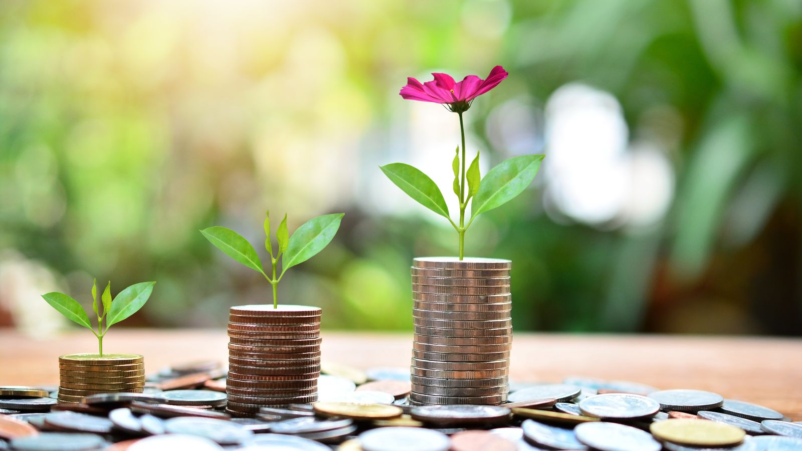 Münzen liegen auf einem Tisch. Drei Münzstapel sind in aufsteigender Reihenfolge sortiert. Auf ihnen wachsen von Stapel zu Stapel größer werdende Blumen. Im Hintergrund sind verschwommen grüne Pflanzen zu erkennen.