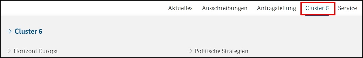 Das Bild zeigt die Navigation der Seite zum Cluster 6.